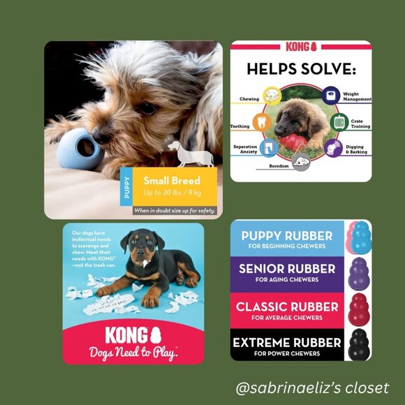 ***NEW*** Kong Puppy - Blue - 3-Pack - Picture 3 of 3